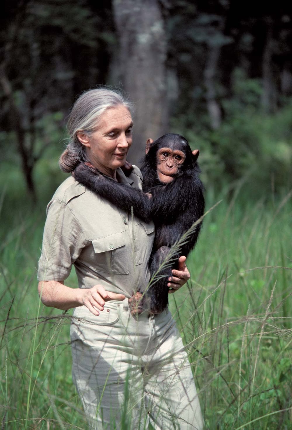 Jane Goodall – A Life of Love, Science, and Kindness