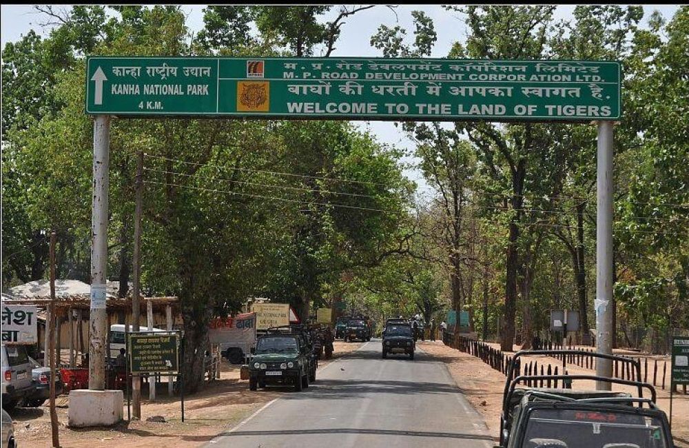 Experience the Magic of Kanha National Park