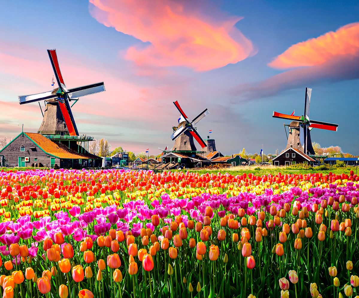 The Netherlands – A Small Country with Big Agricultural Power