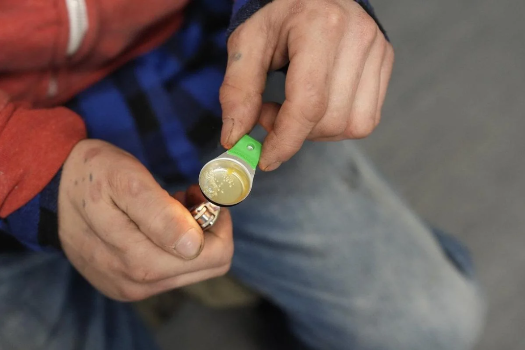 Opioid Deaths Down in Ontario — A Sign of Hope