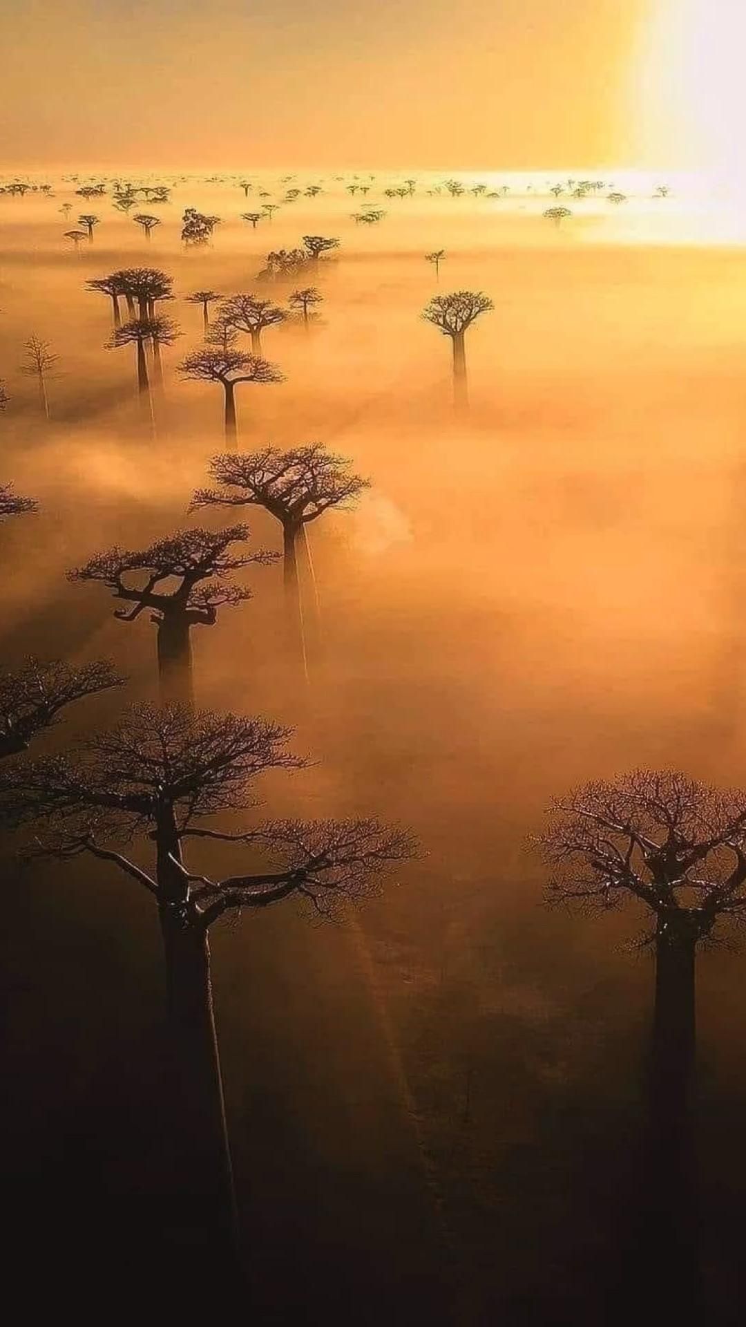 Madagascar – The Island of Unique Wonders and Wild Beauty