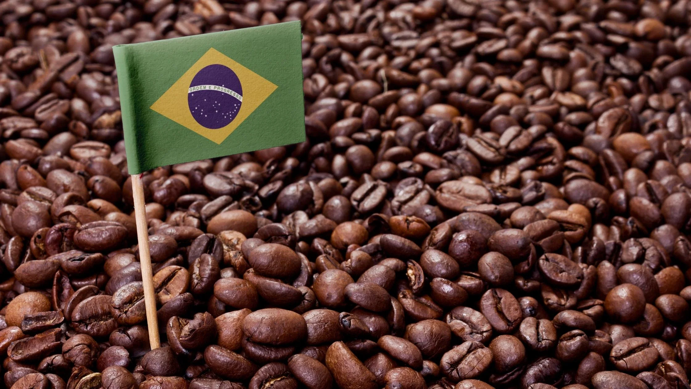 Brazil – The Coffee King of the World