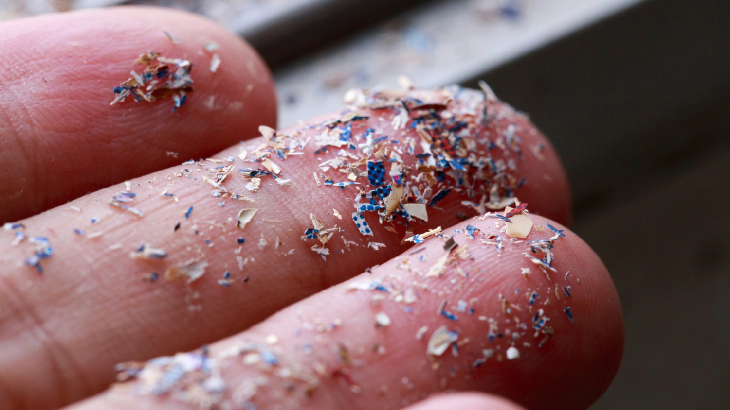 When Plastic Lives Inside Us, No One Is Safe