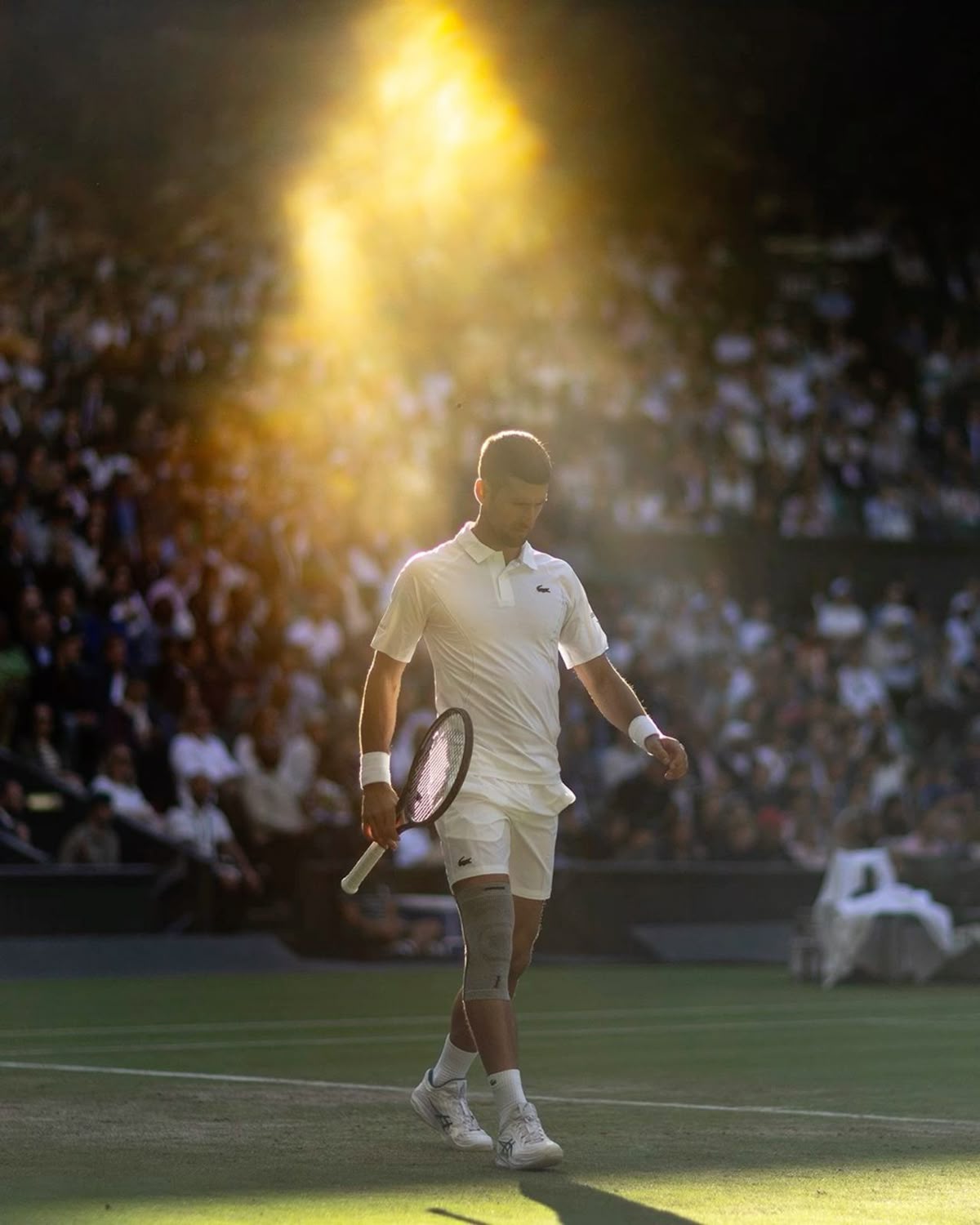 The Final Serve: Djokovic at the Edge of History