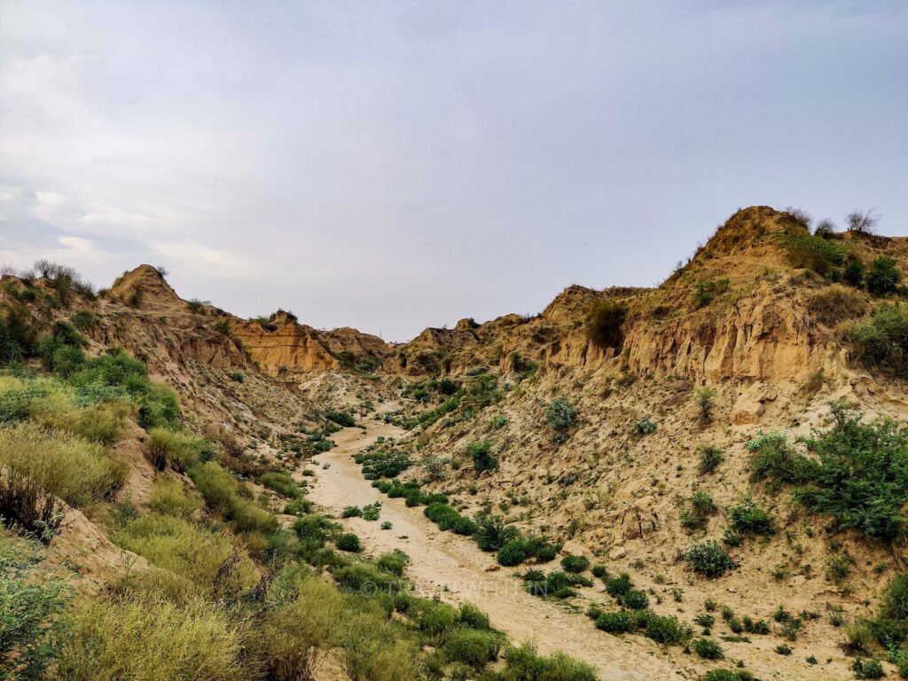 Secrets and Stories of the Chambal Ravines - recital.blog