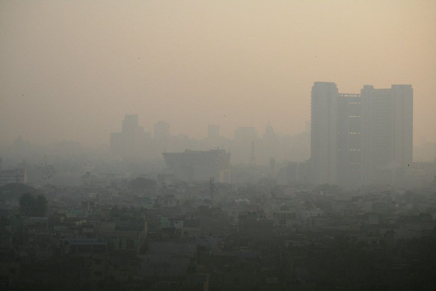 Delhi’s Air Crisis and Love Lost