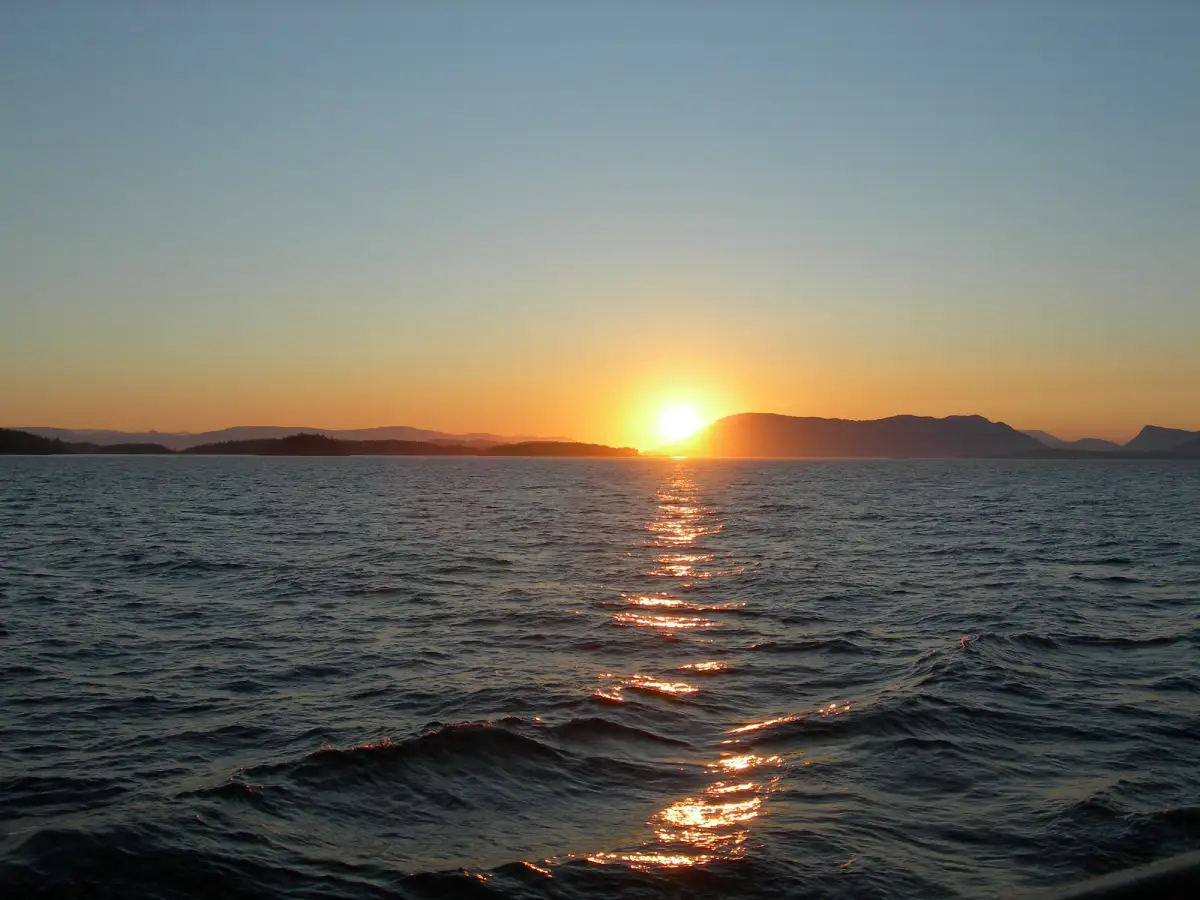 Love Drowned in the Heat of the Pacific