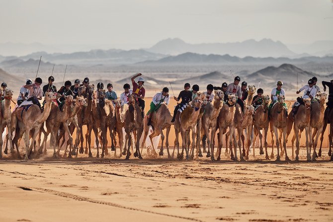 Camel Racing In Chad A New Era for Traditional Camel Racing - recital.blog